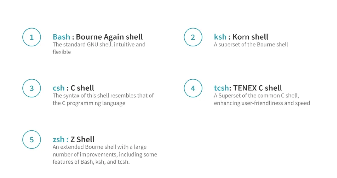 Shell Type